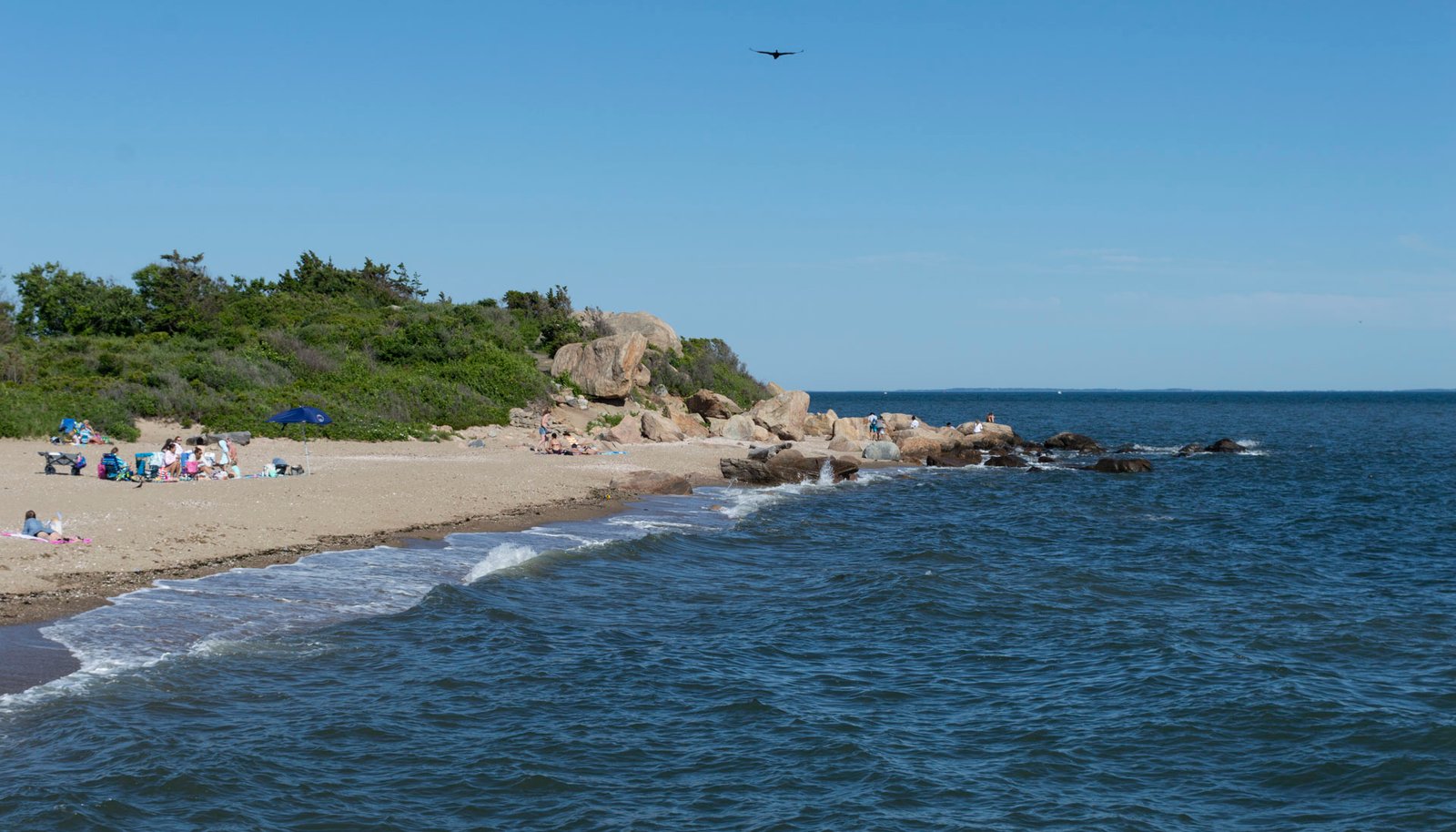 Image 11