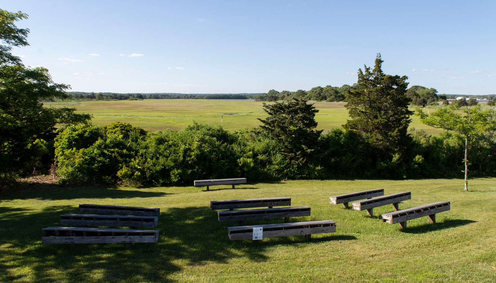 Image 14