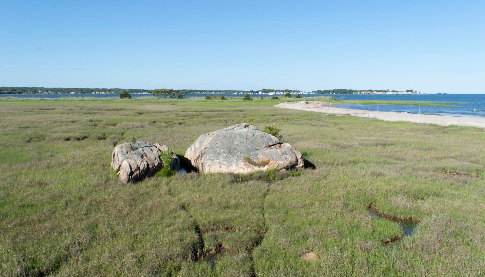 Image 15