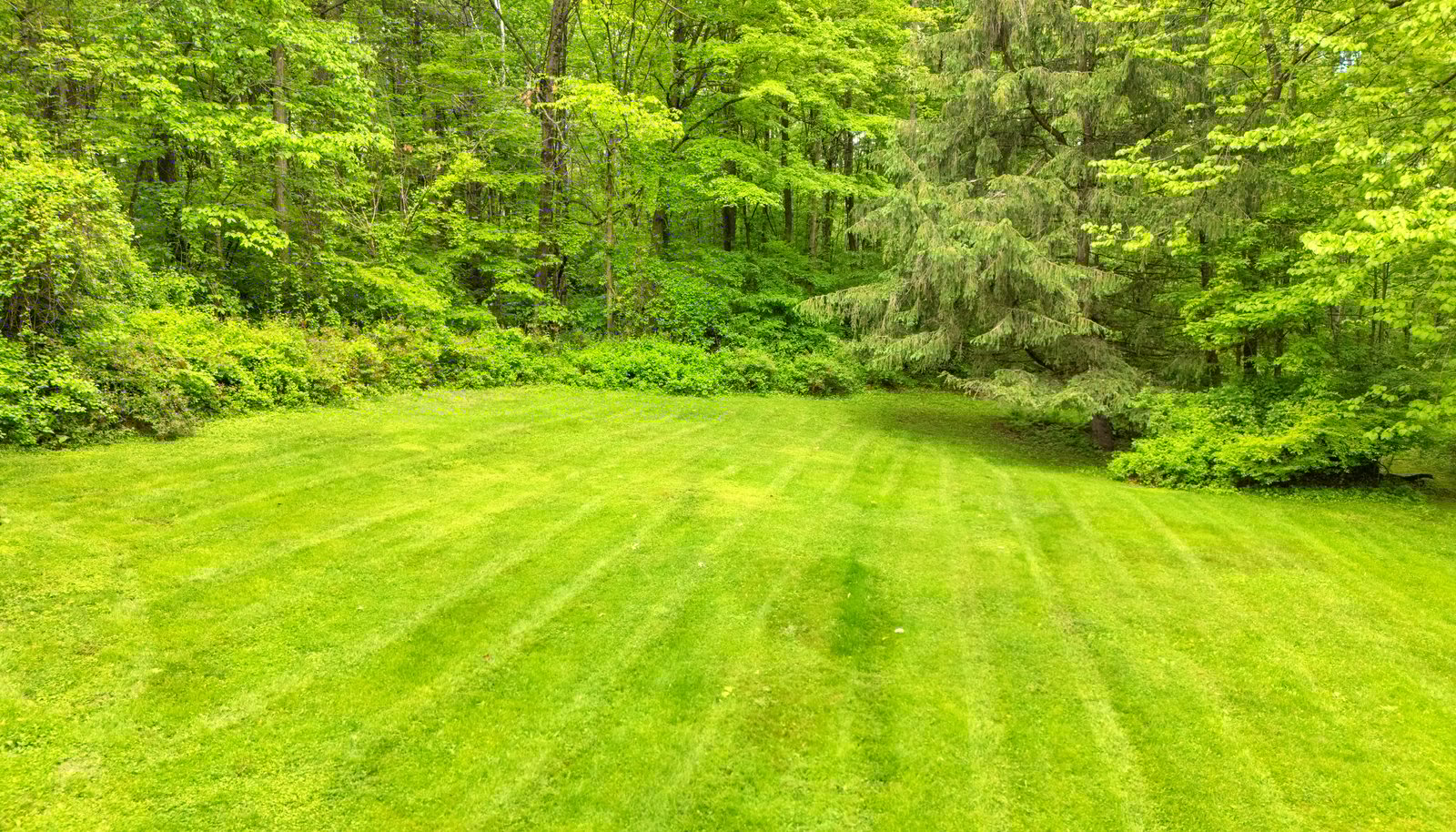 Image 34