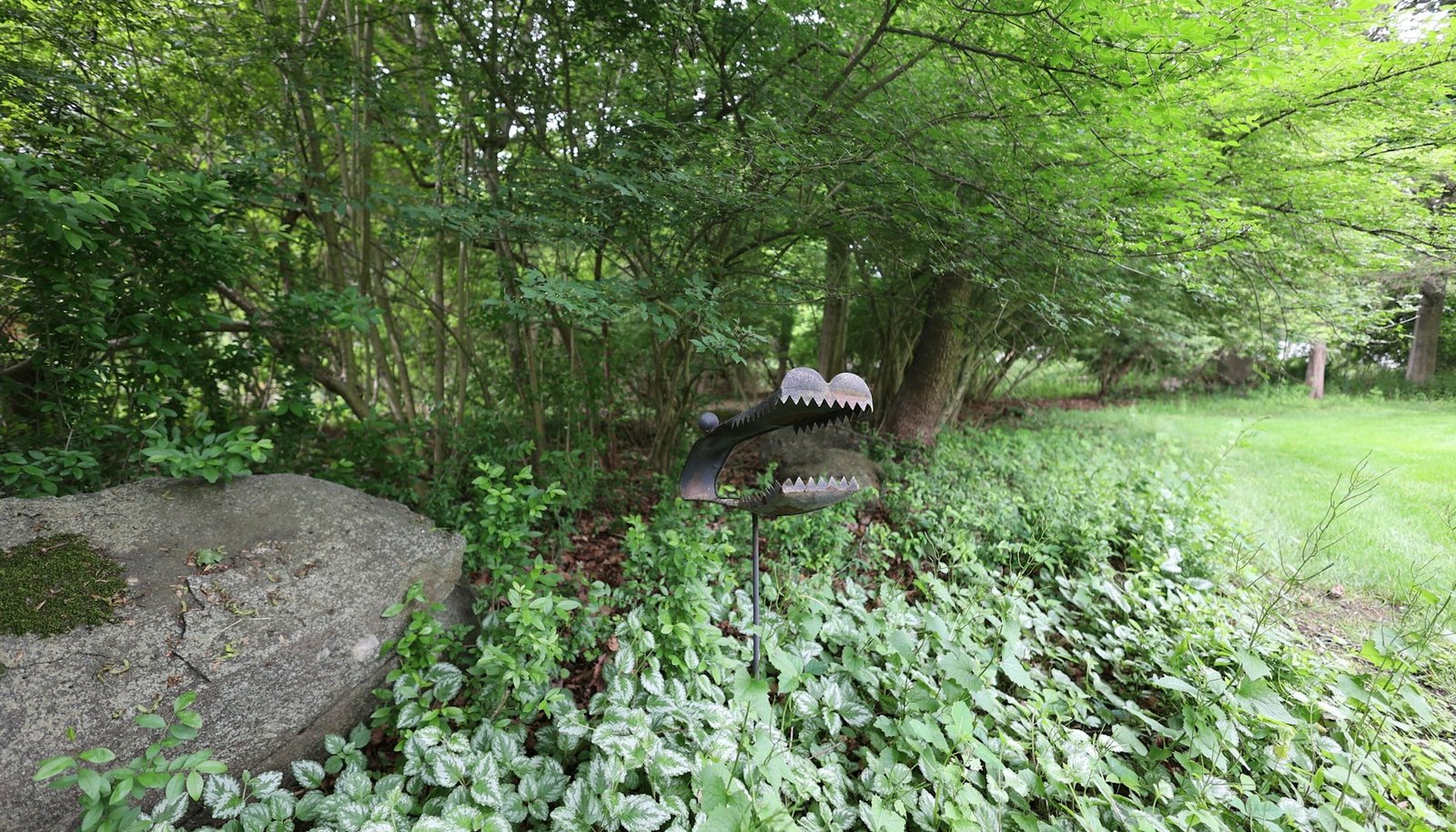 Image 33