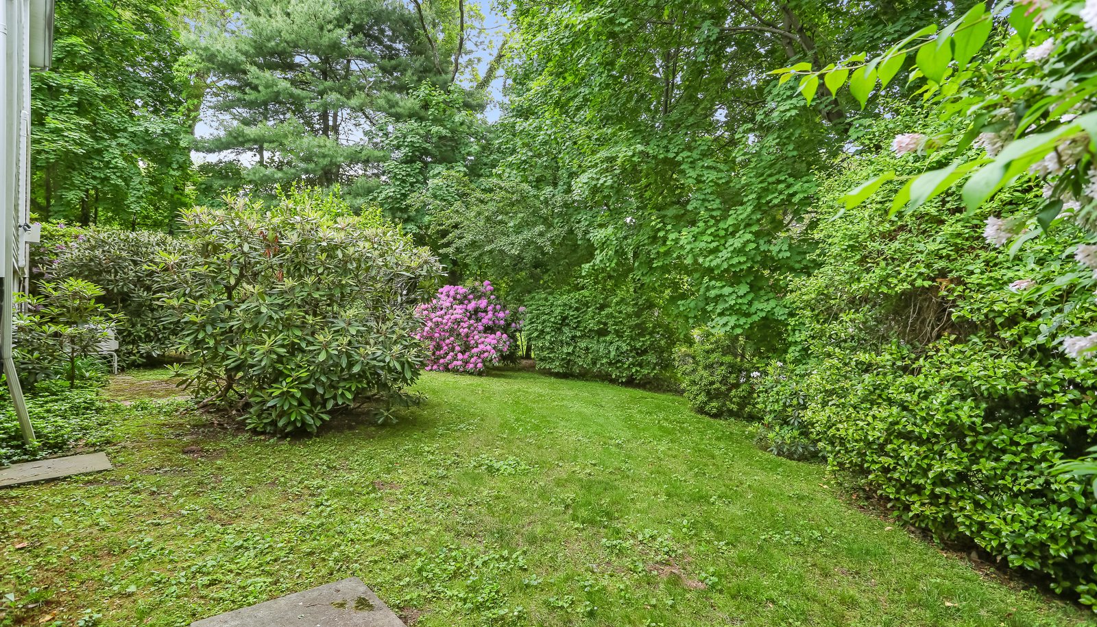 Image 28