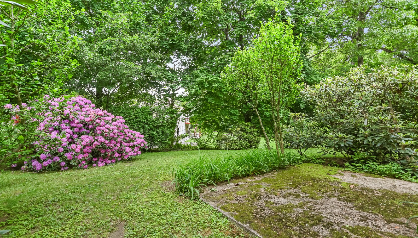 Image 32