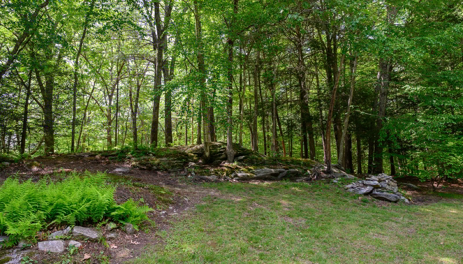 Image 32