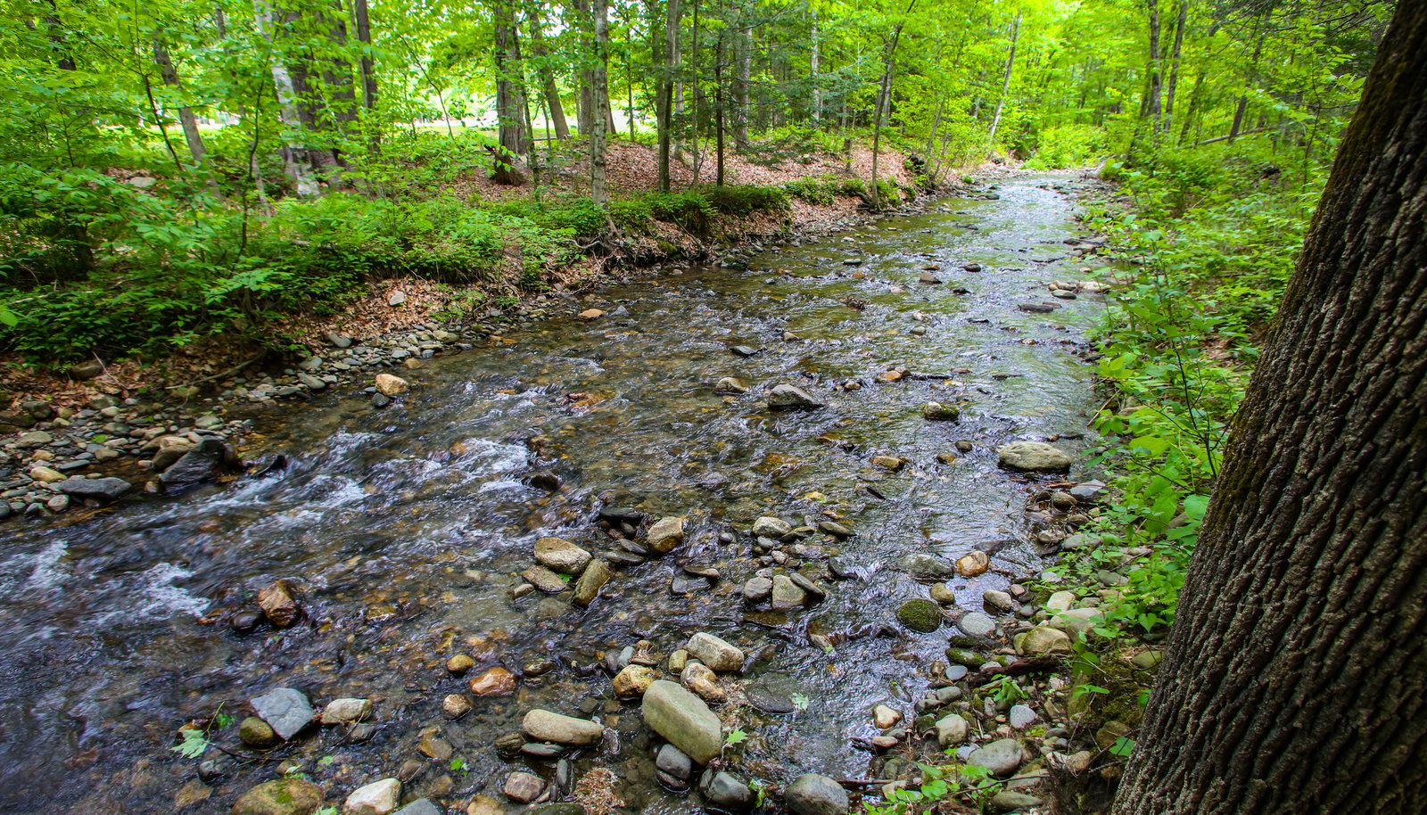 Image 22