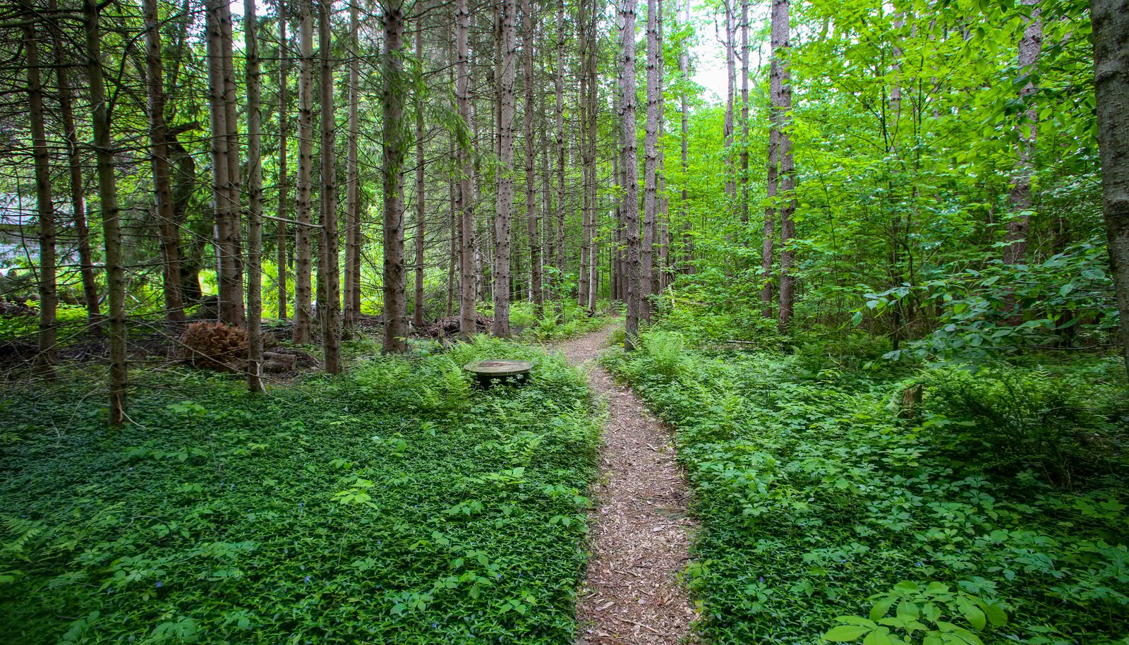 Image 24