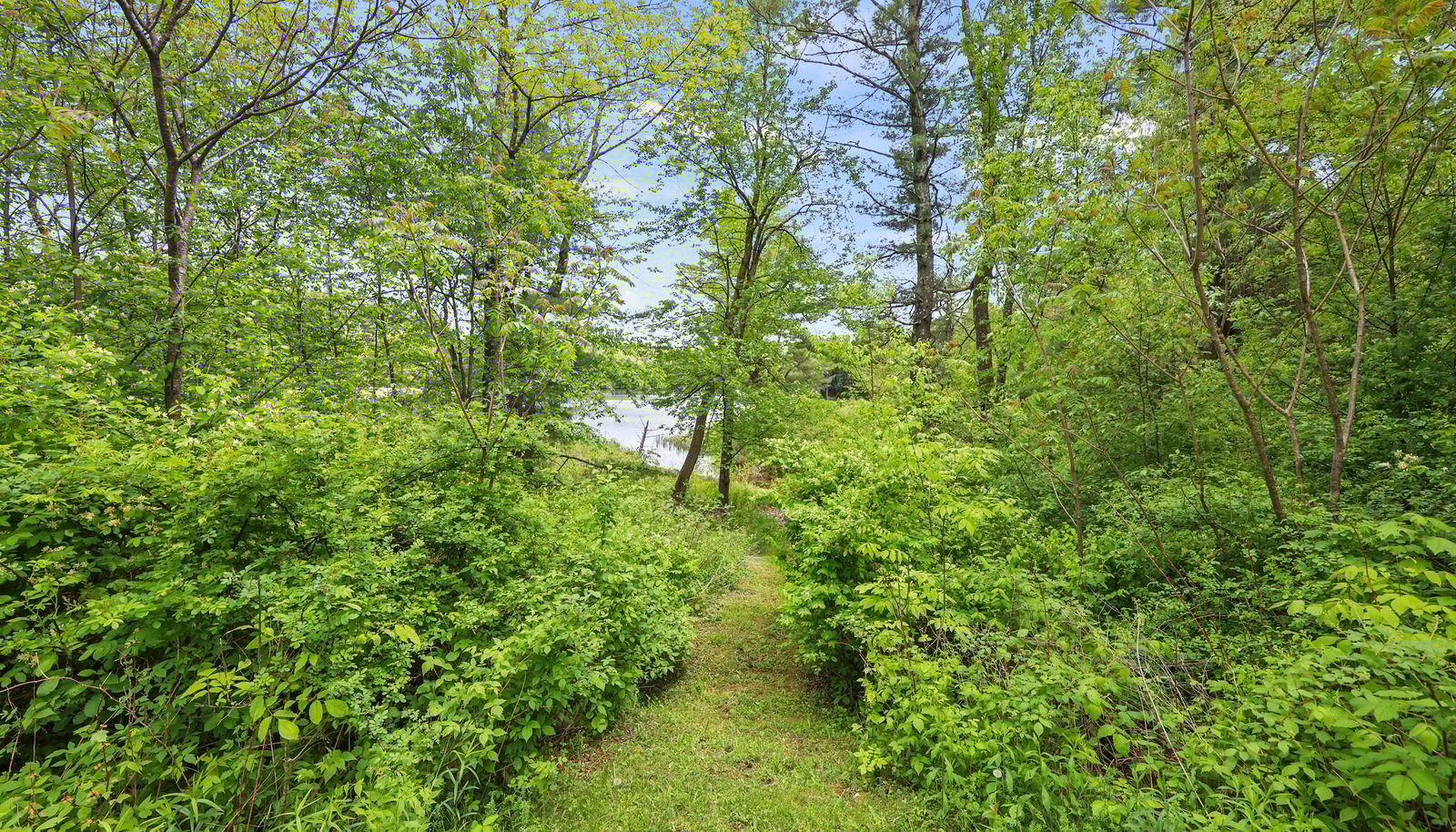 Image 55