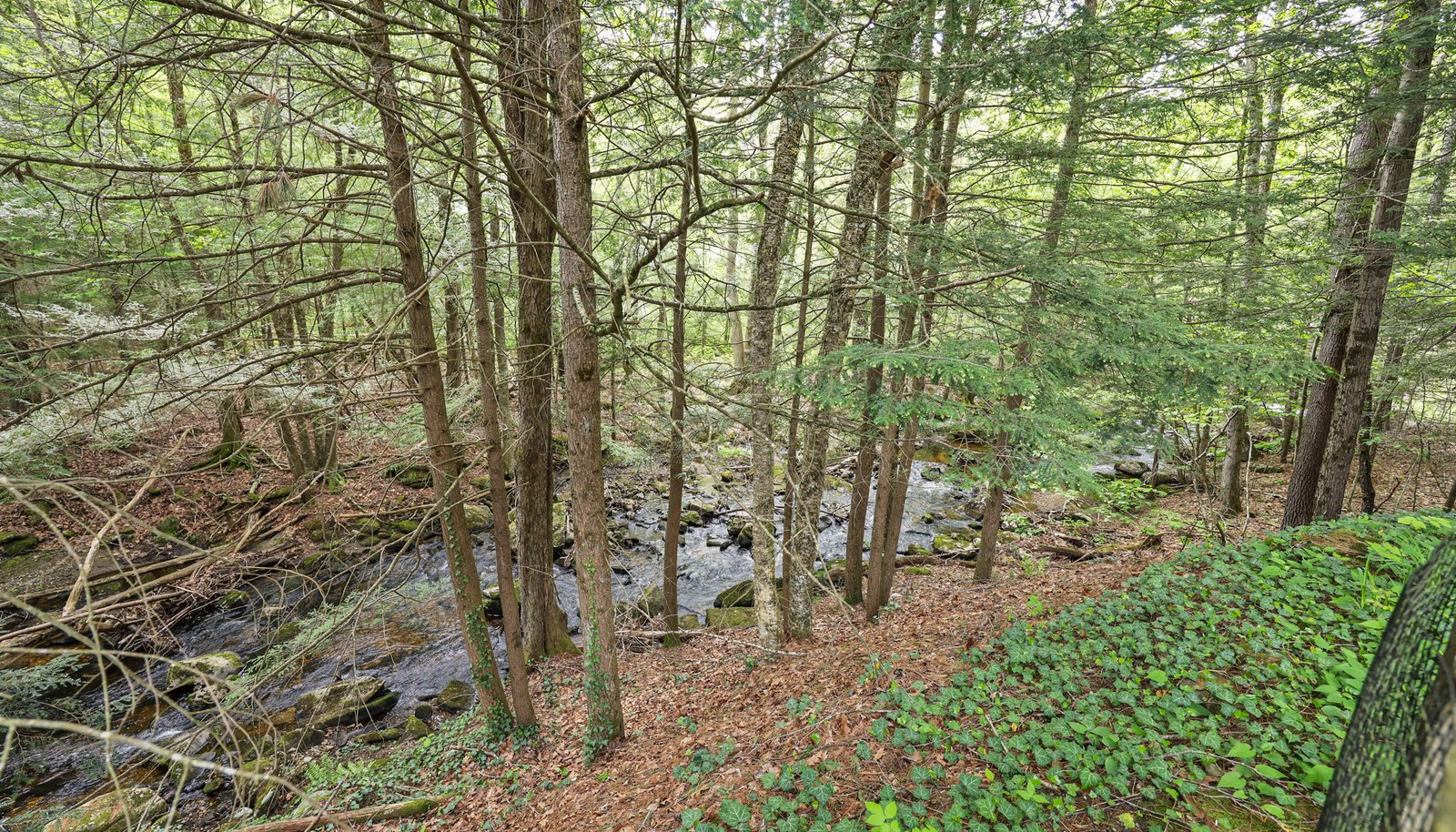 Image 57