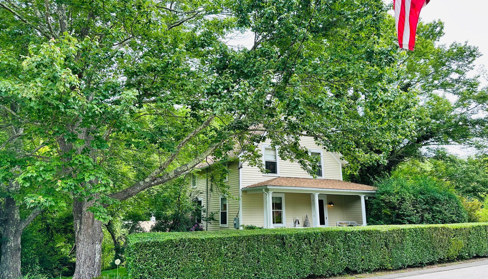 Image 4