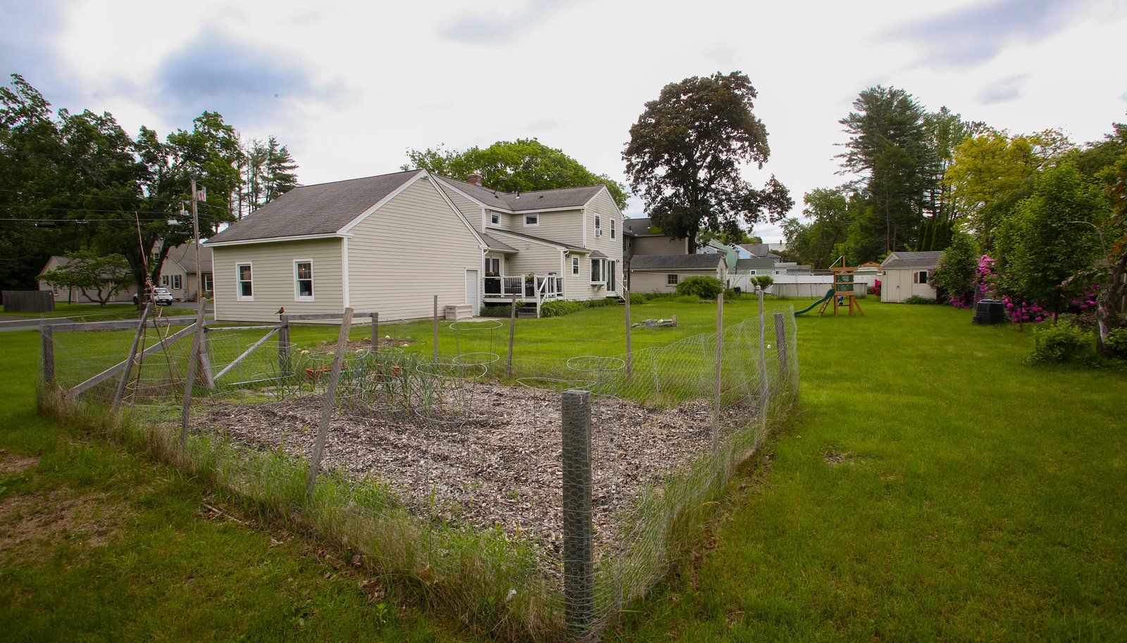 Image 6