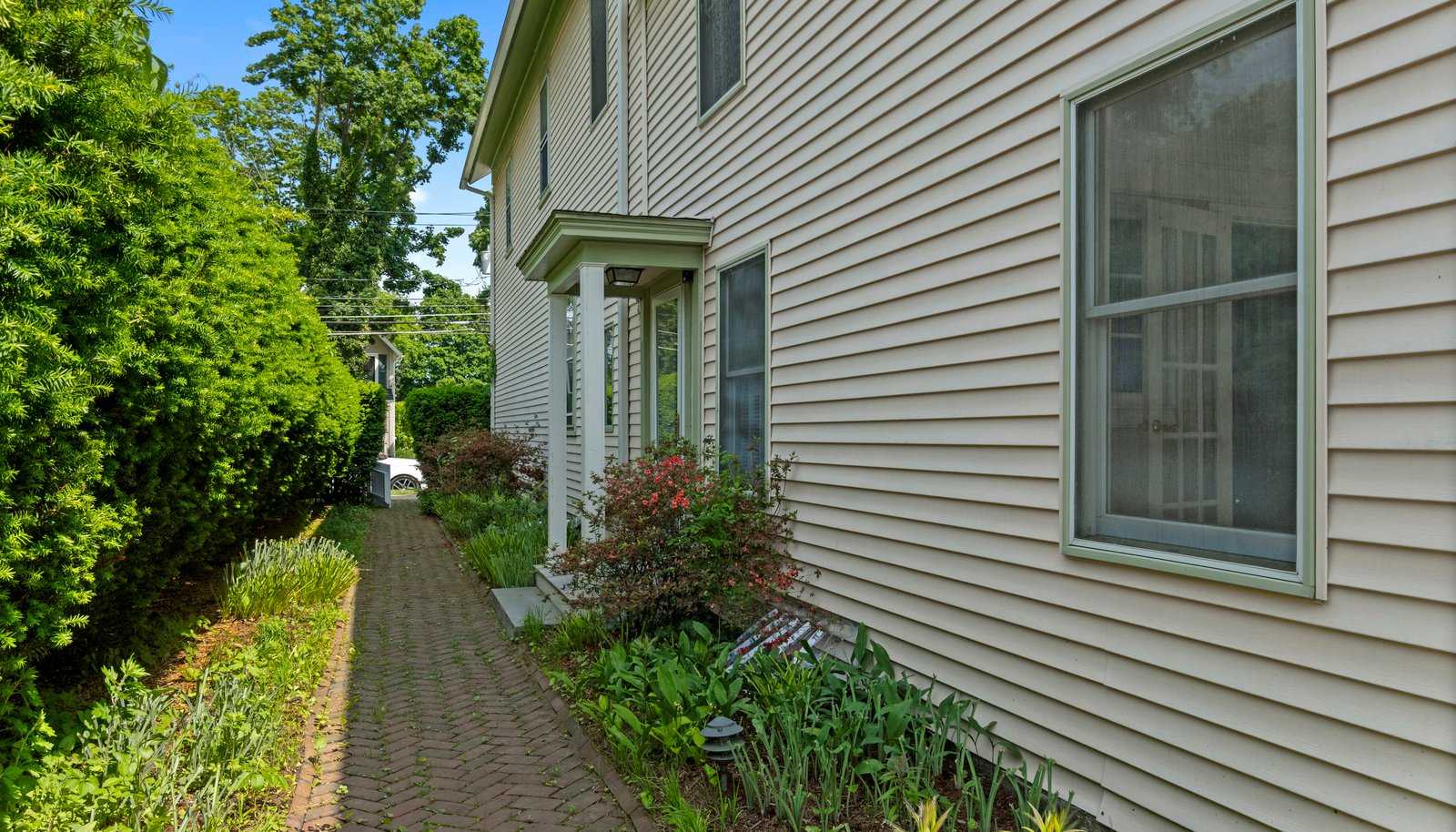 Image 11