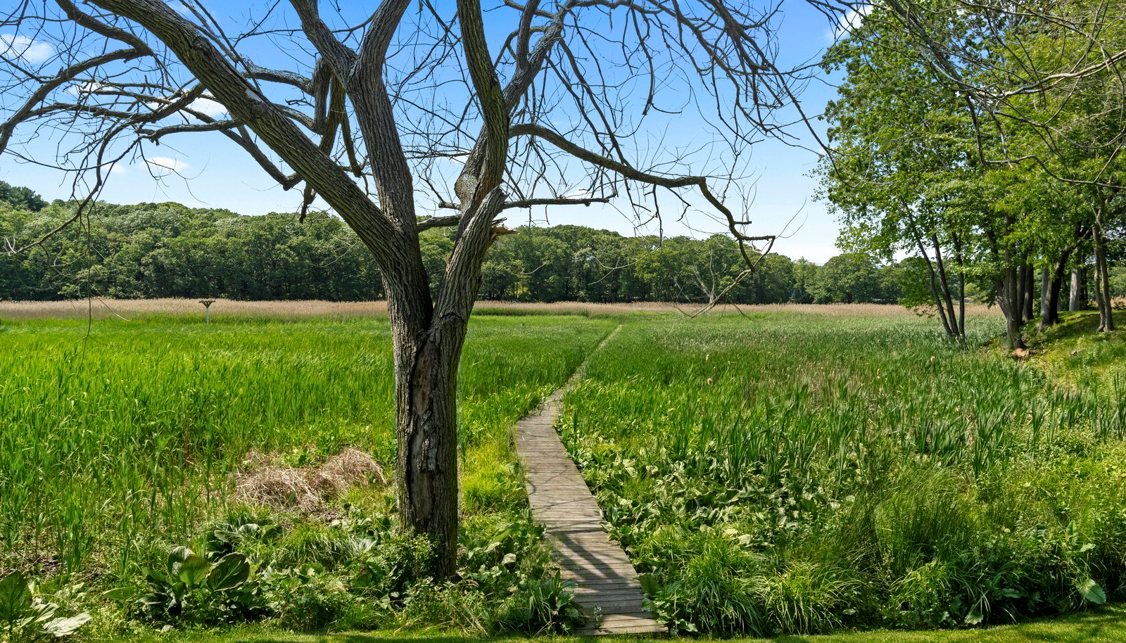 Image 37