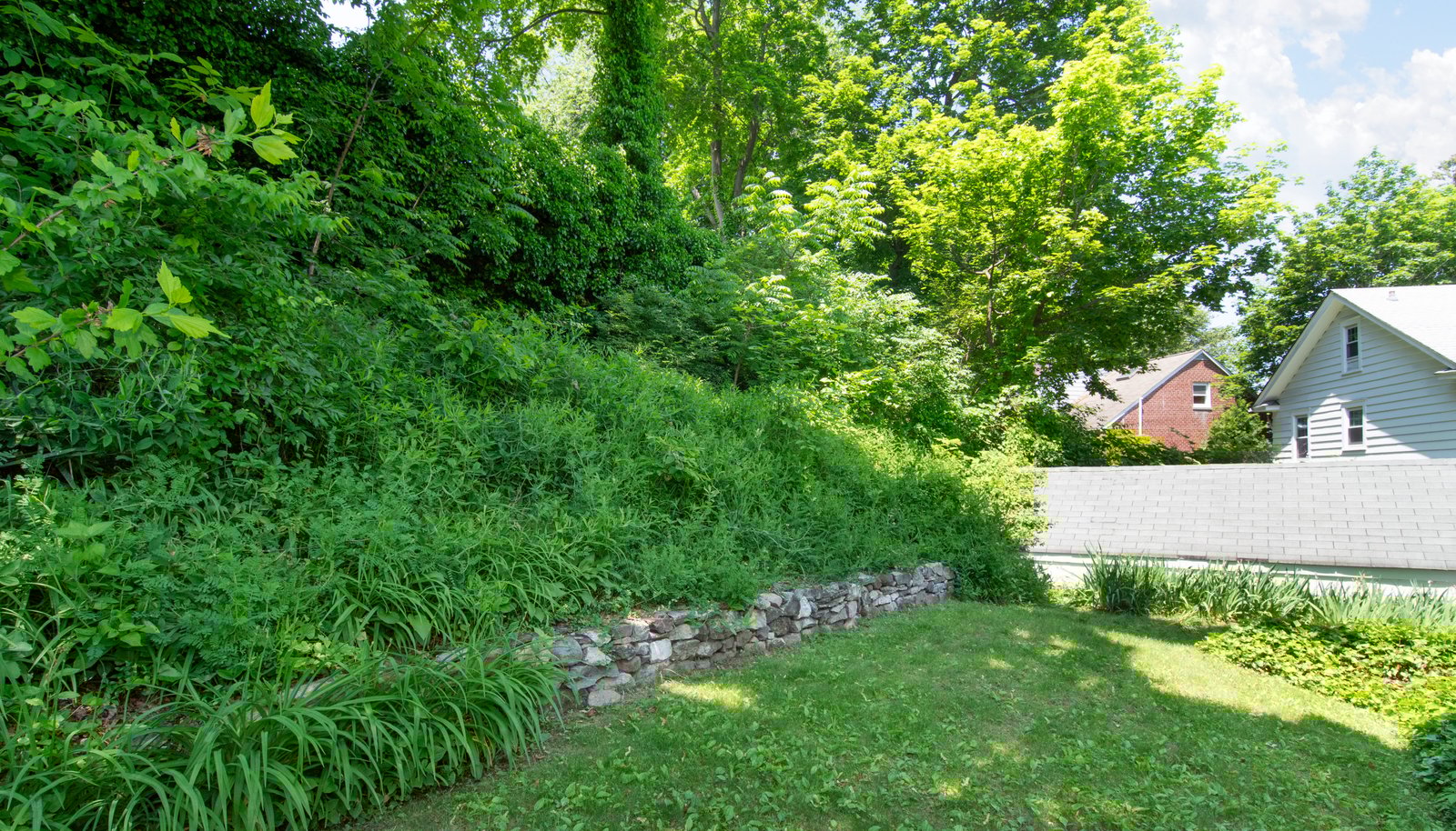 Image 23