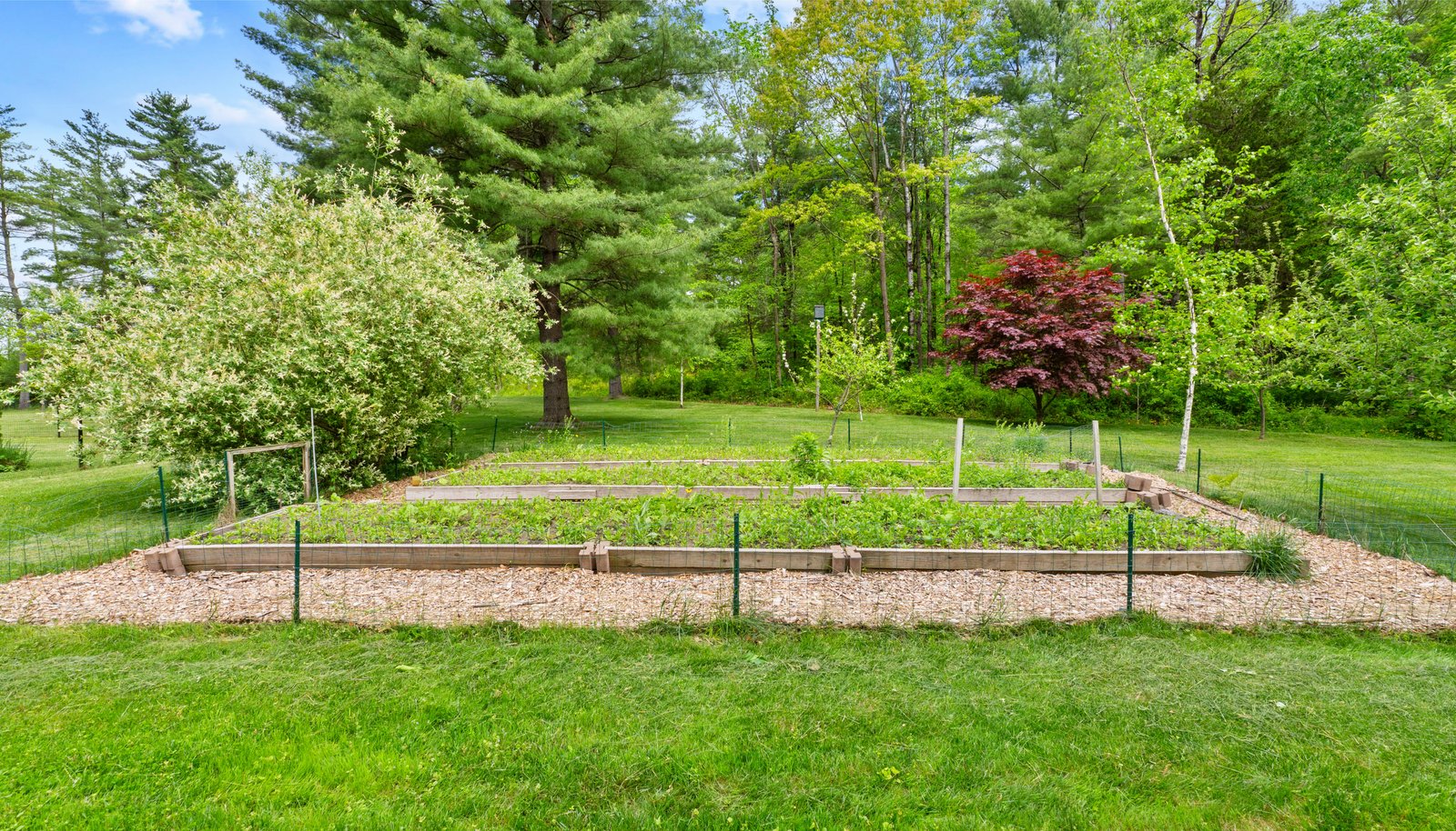 Image 63