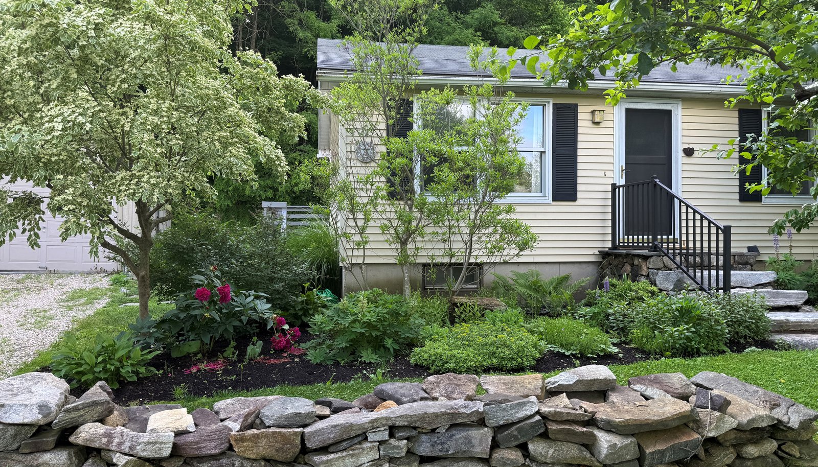 Image 21