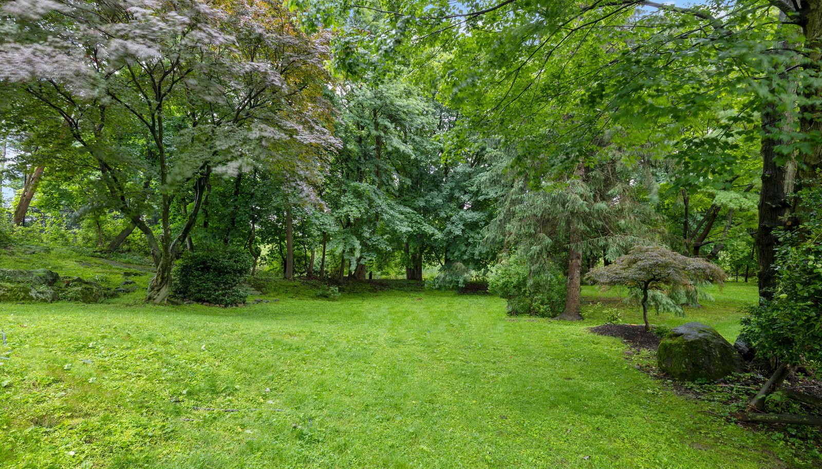 Image 22