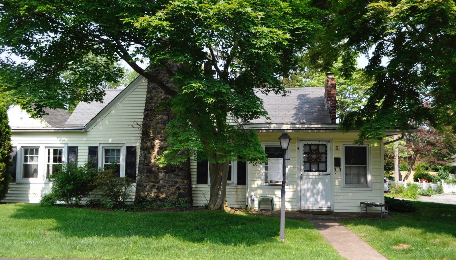 Image 5