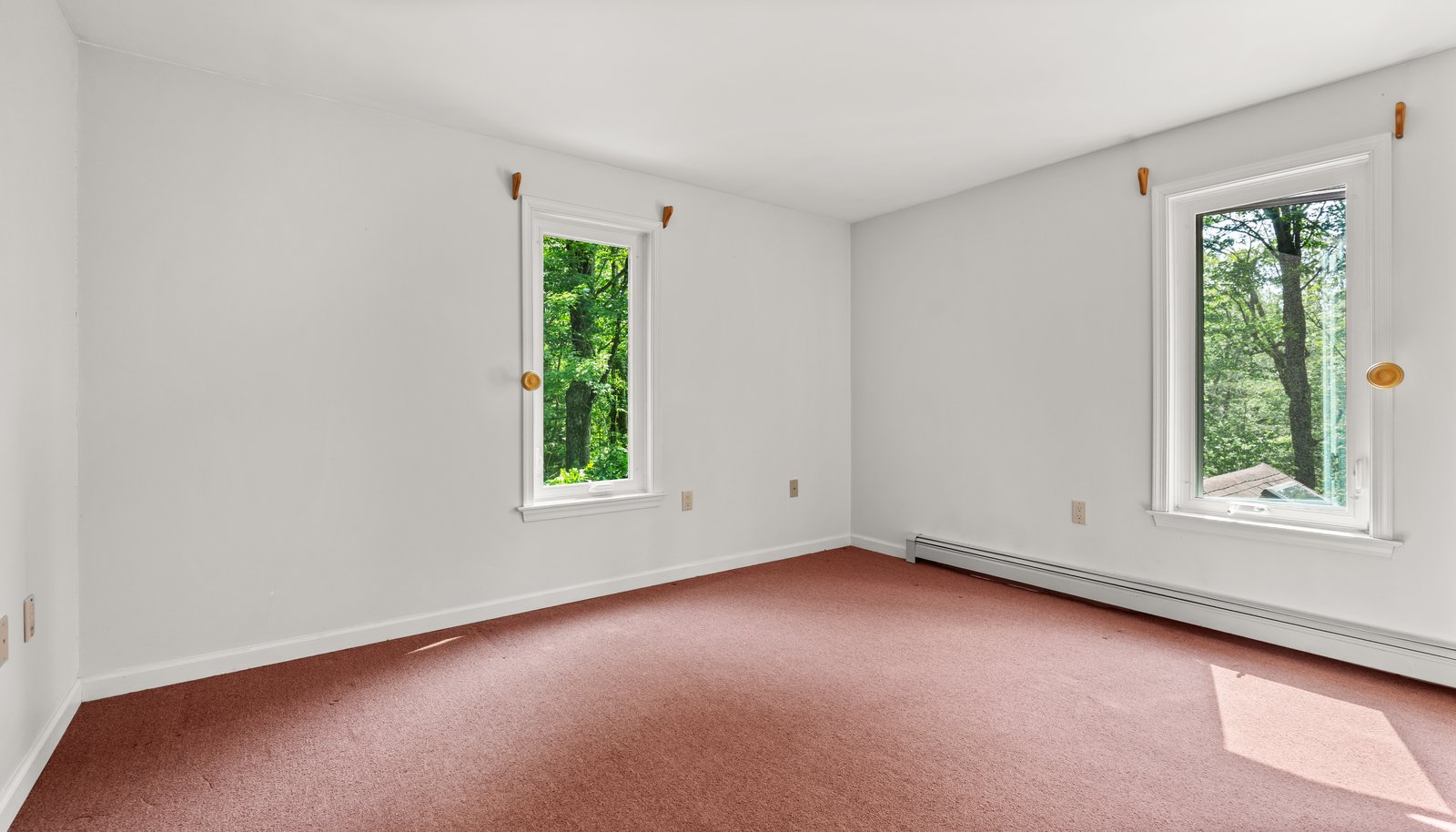 Image 30