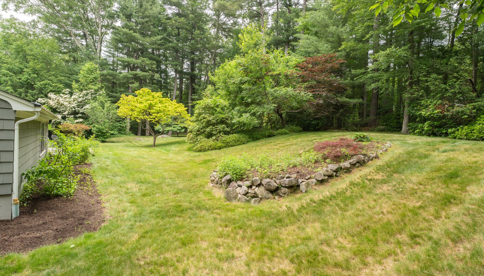 Image 25