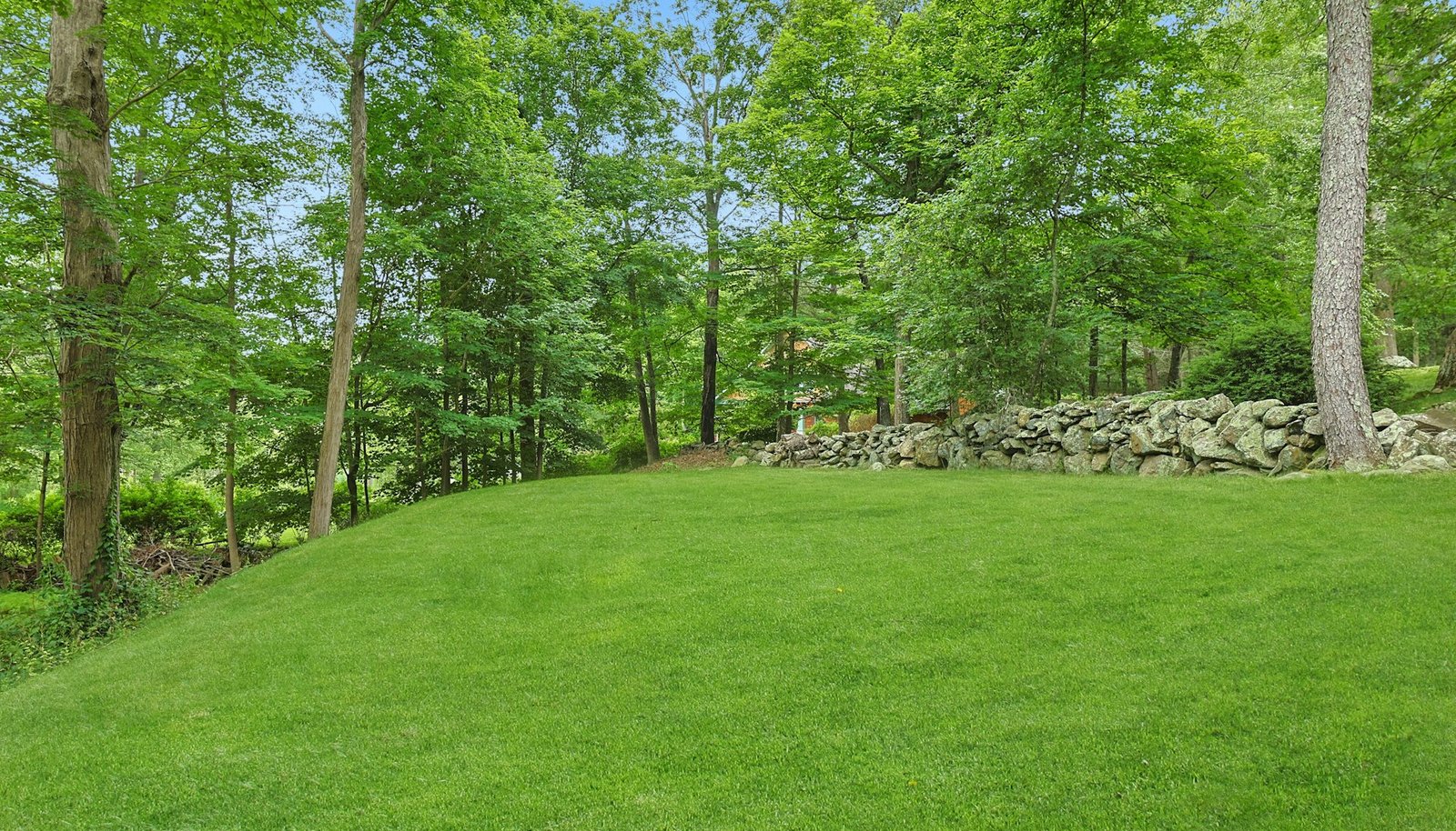 Image 23