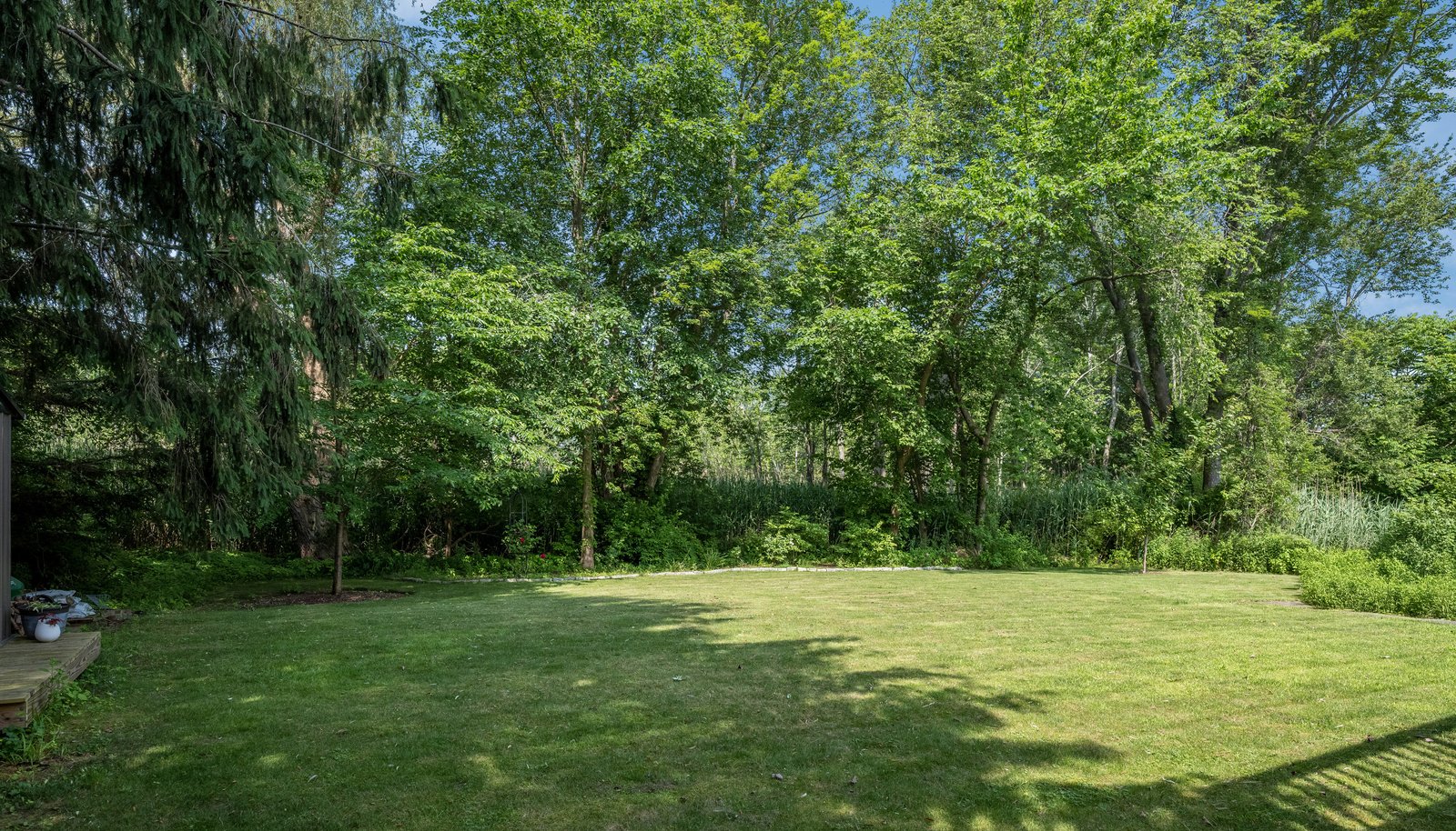 Image 33
