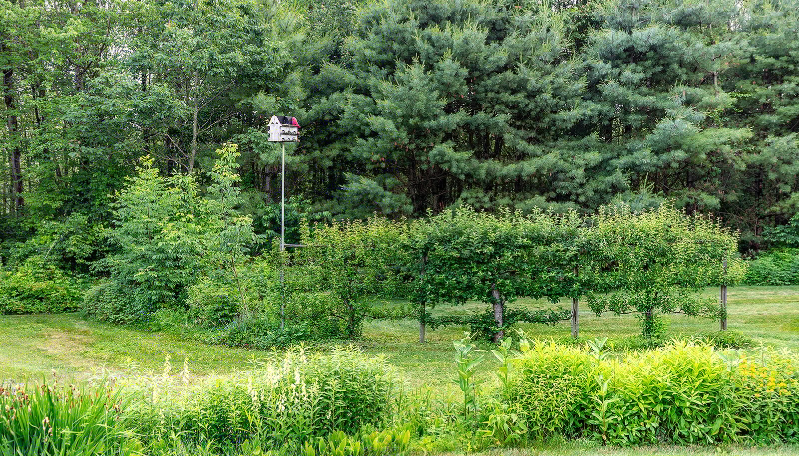 Image 34