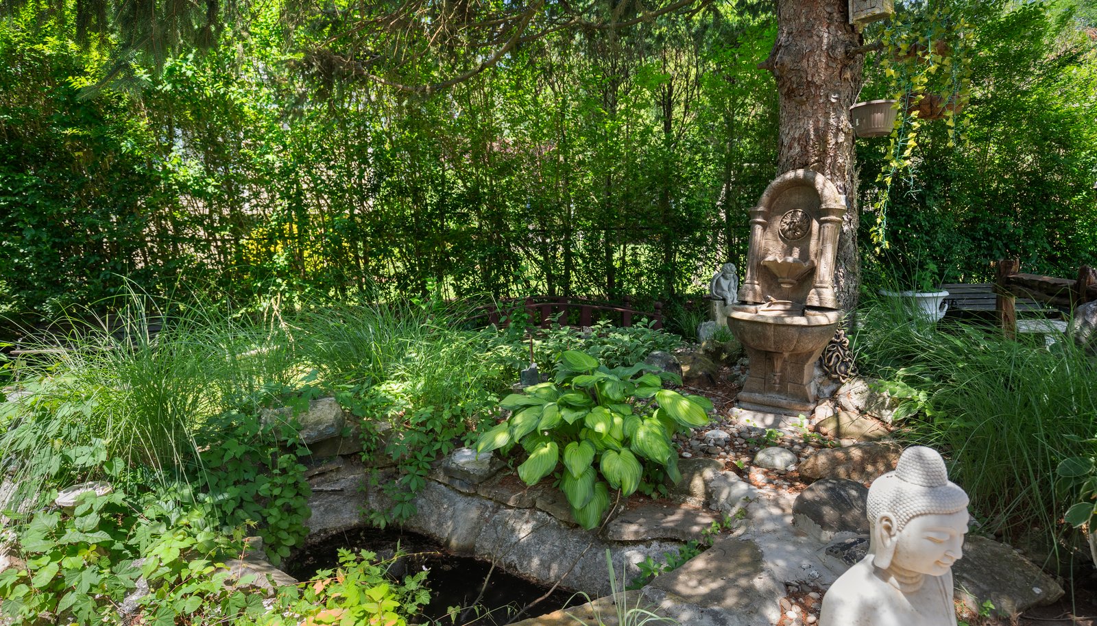 Image 25