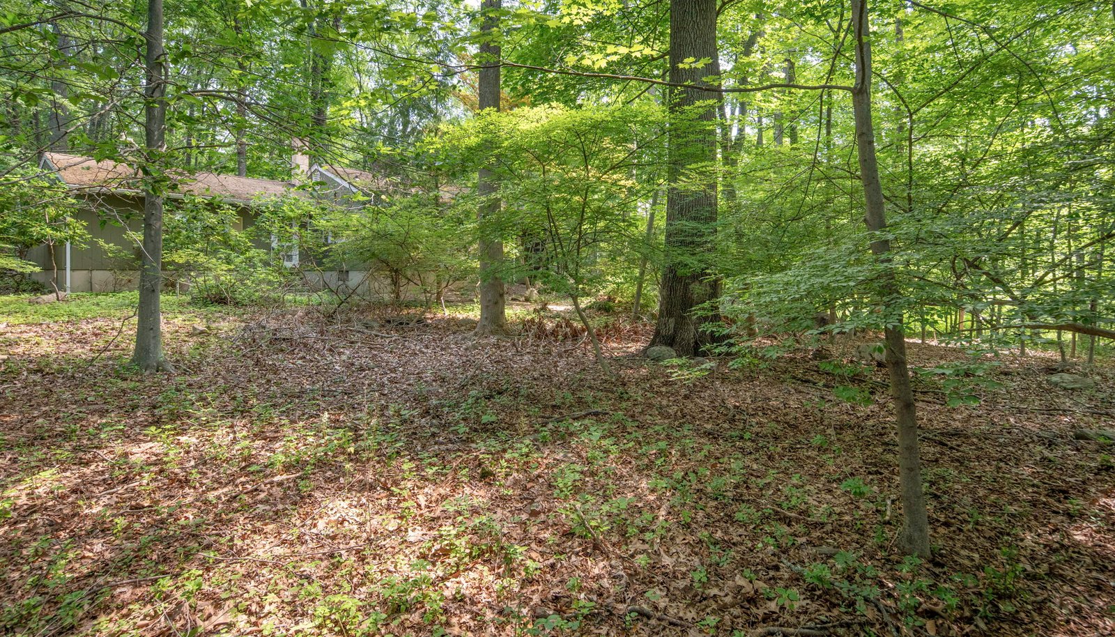 Image 9