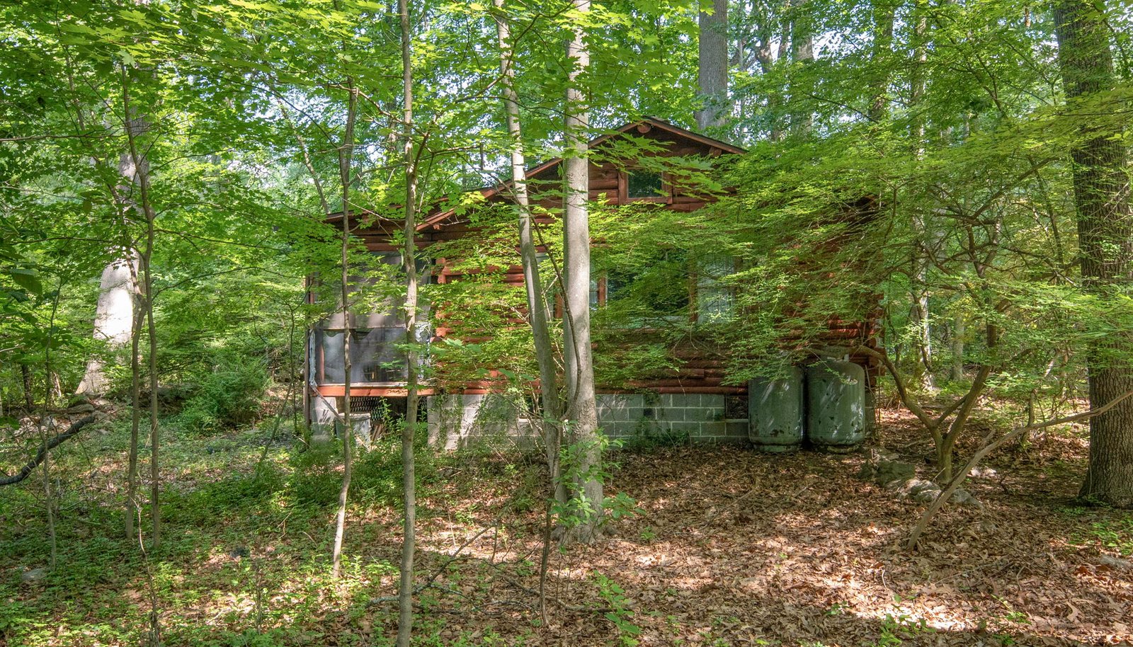 Image 11