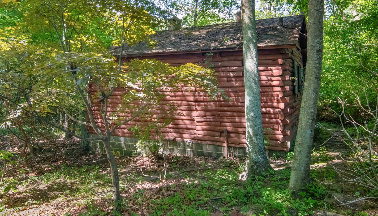 Image 13