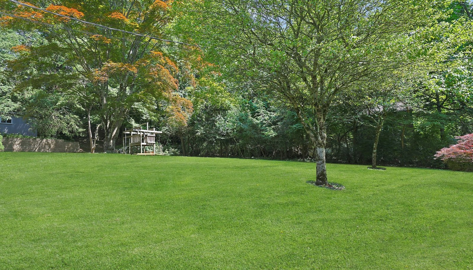 Image 33