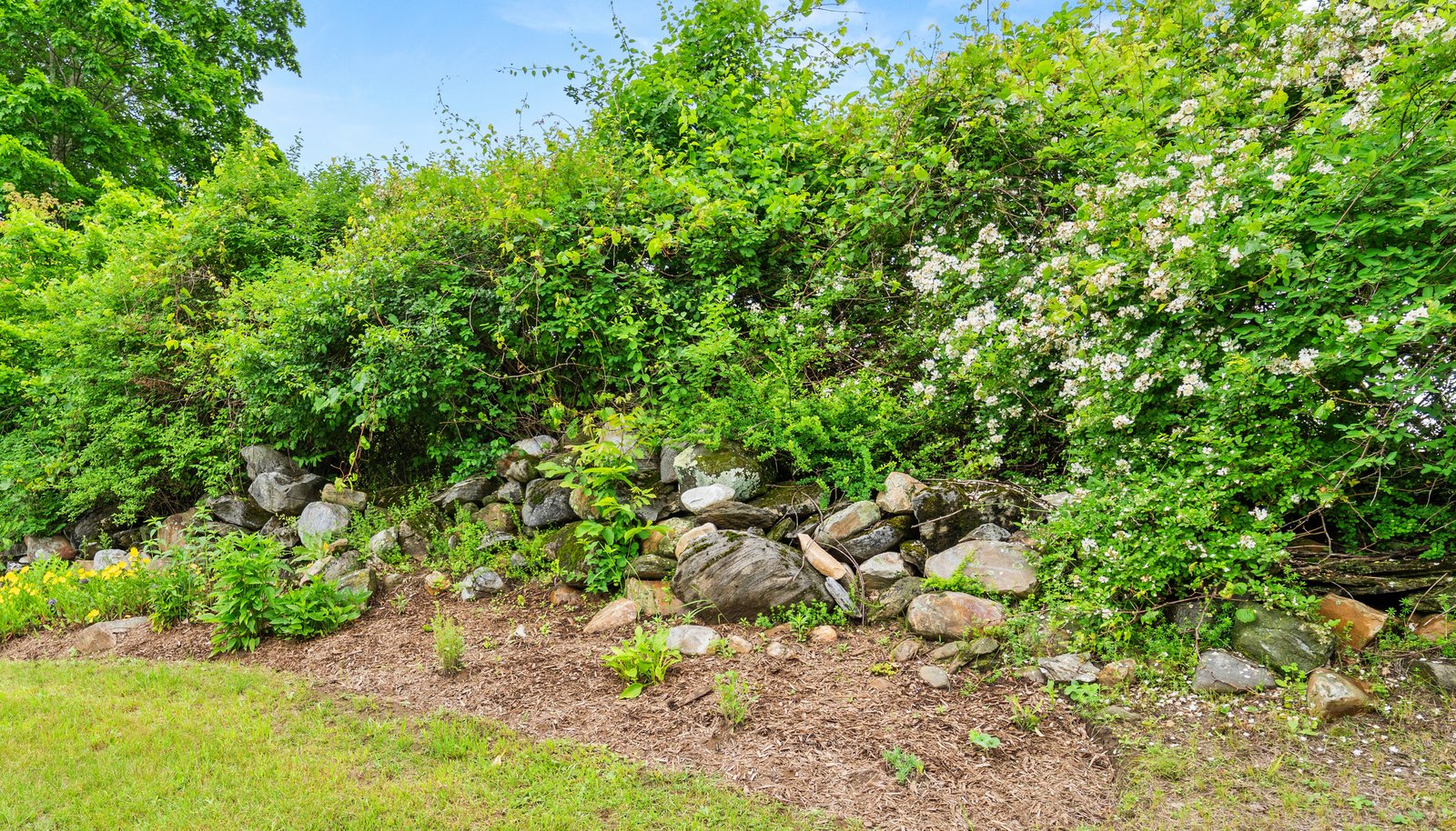 Image 74