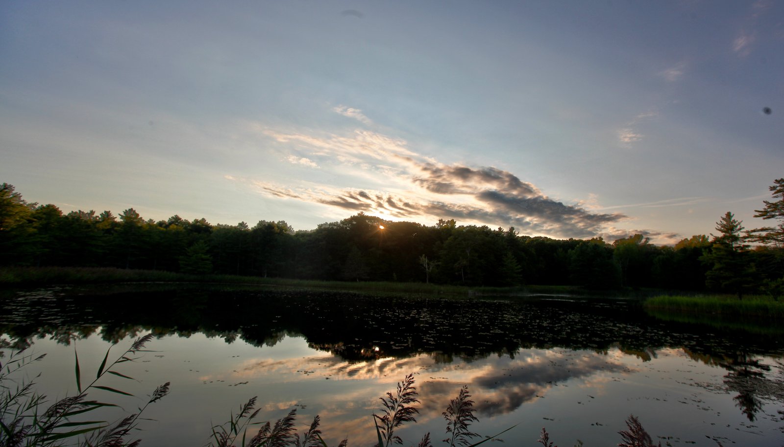 Image 61