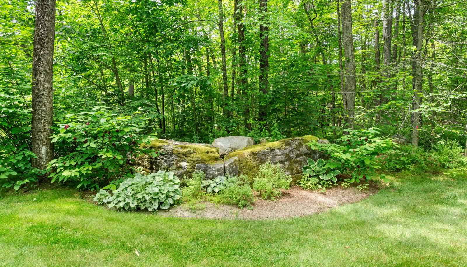 Image 34