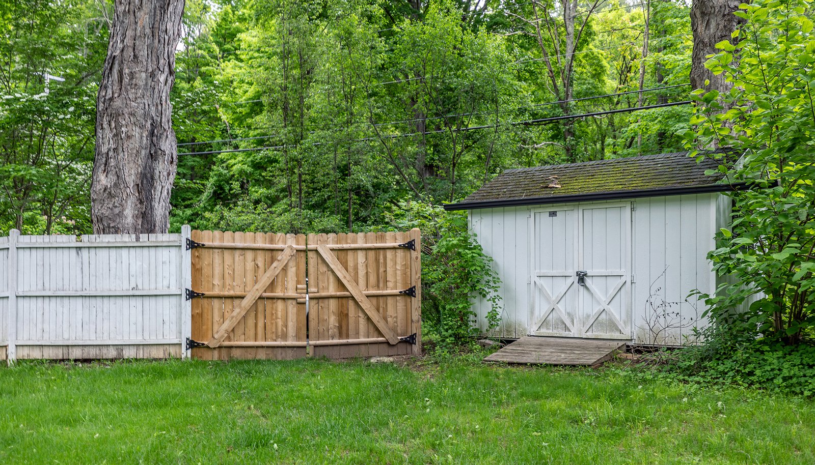 Image 25
