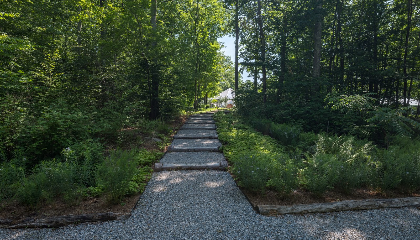 Image 33
