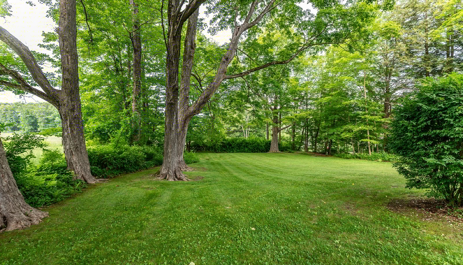 Image 25