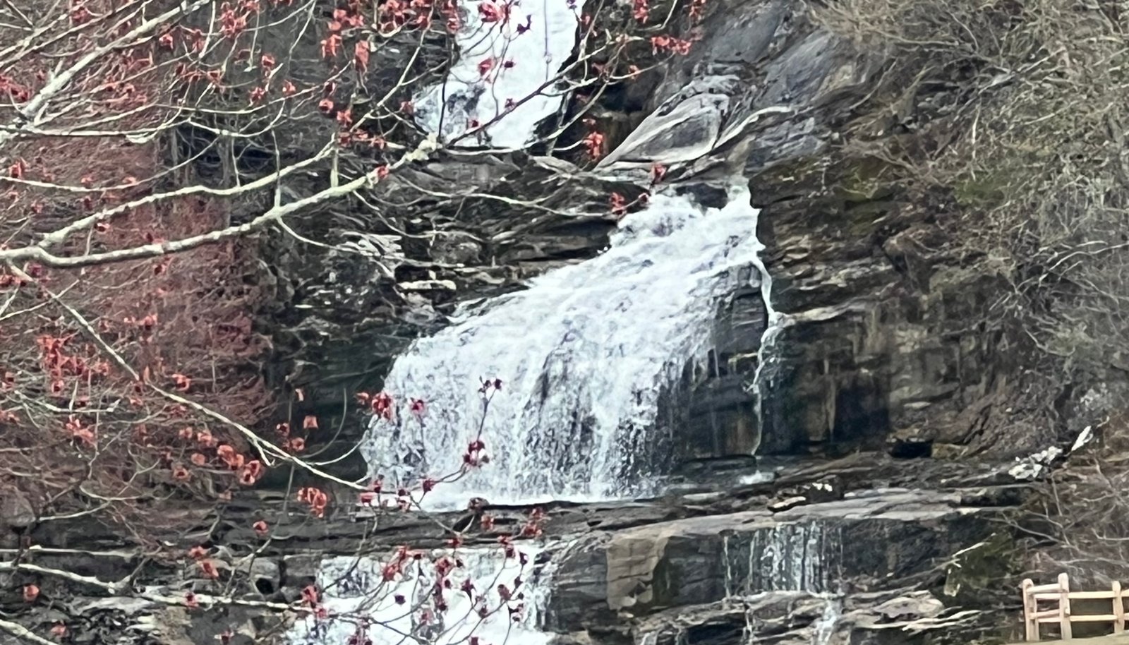 Image 15