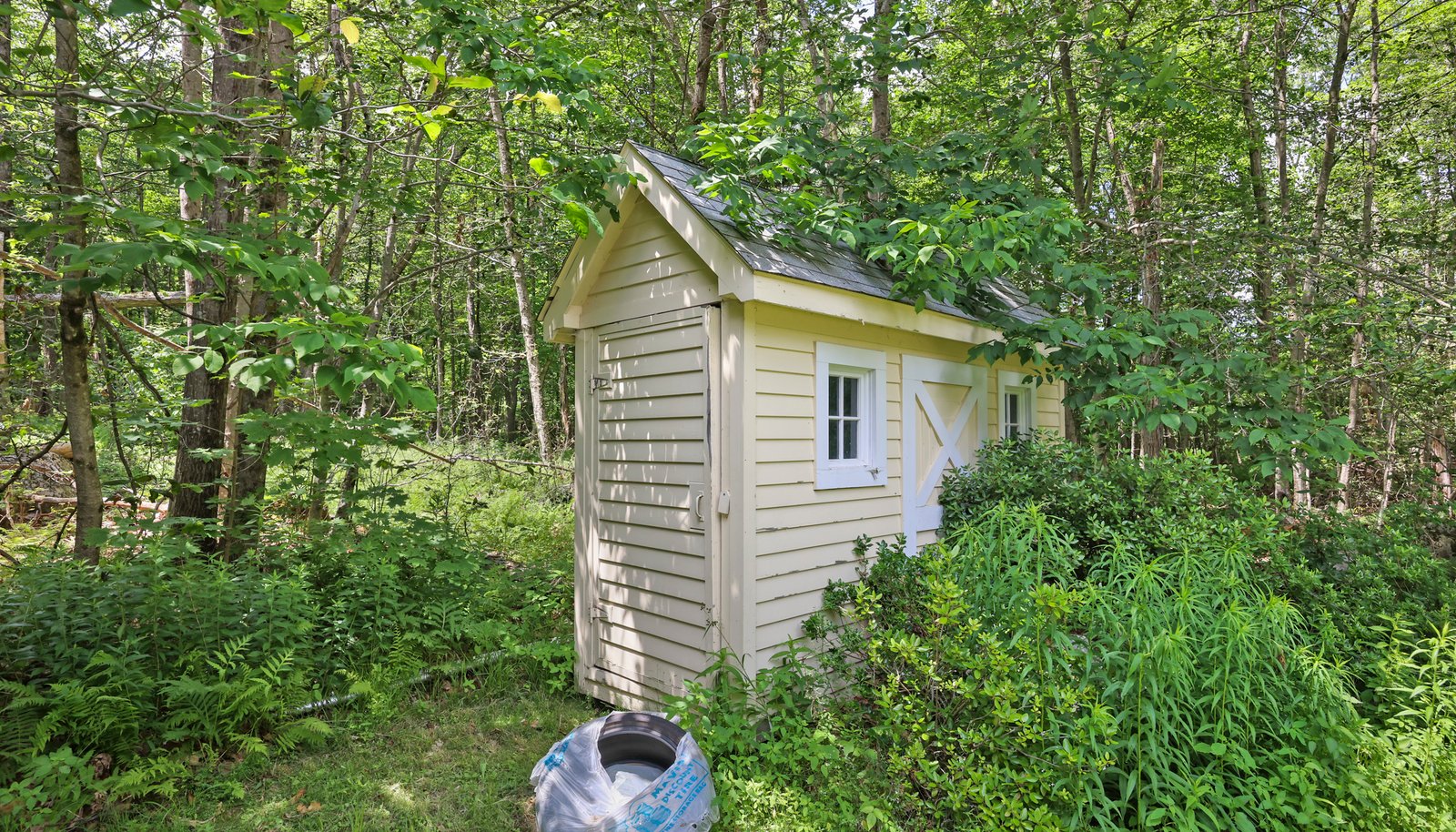 Image 59