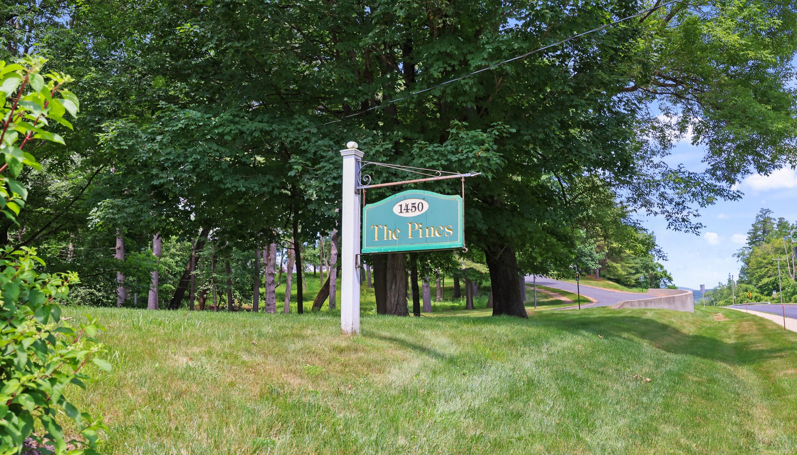 Image 21