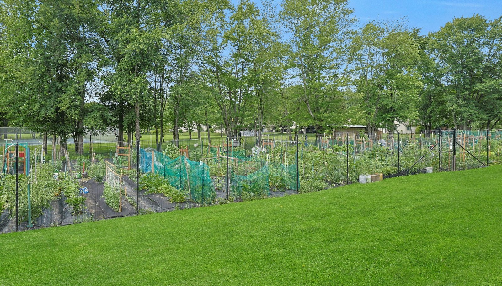 Image 29