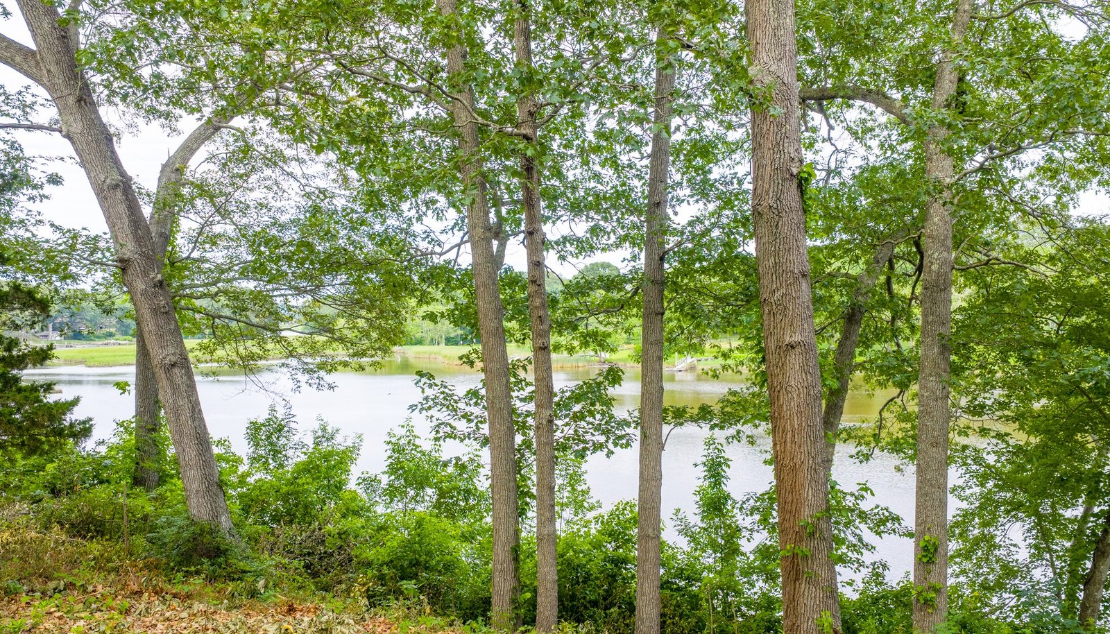 Image 15