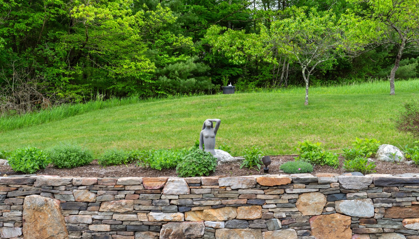 Image 45