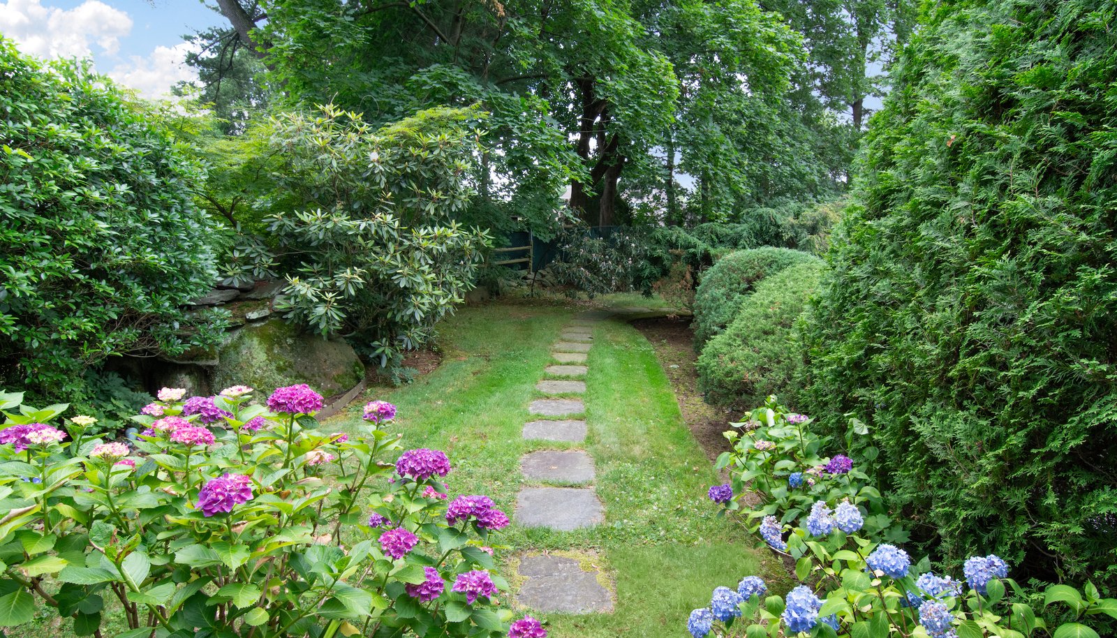 Image 24