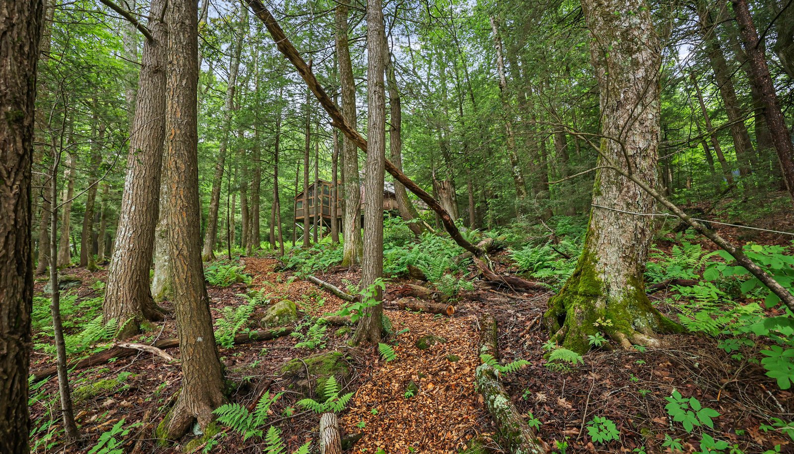 Image 10