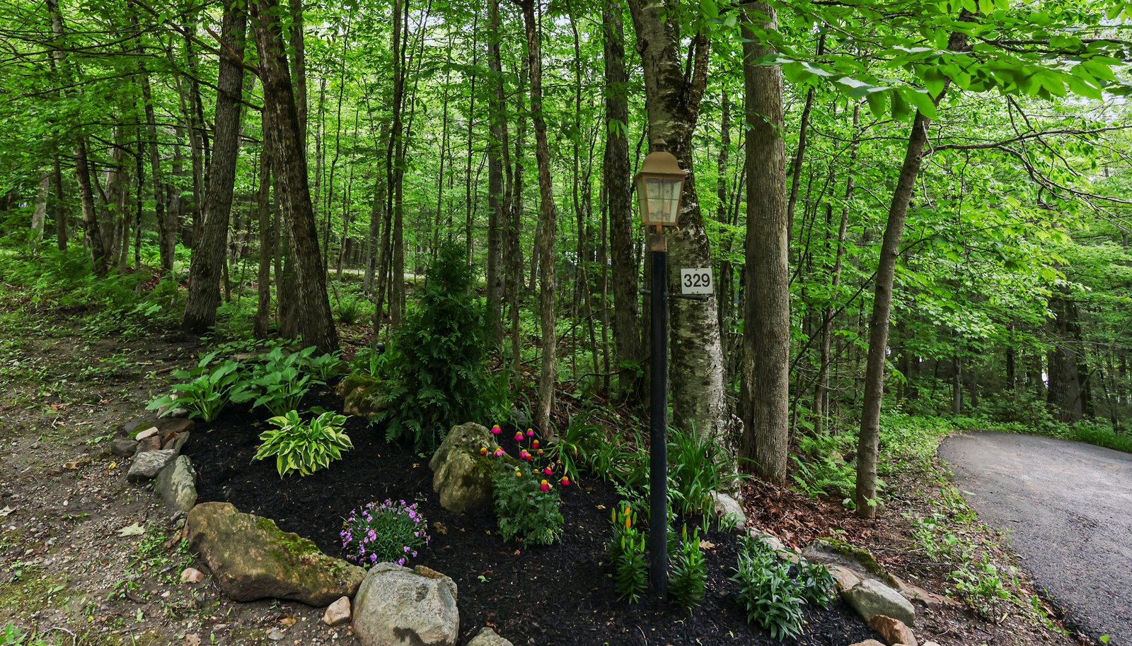 Image 13
