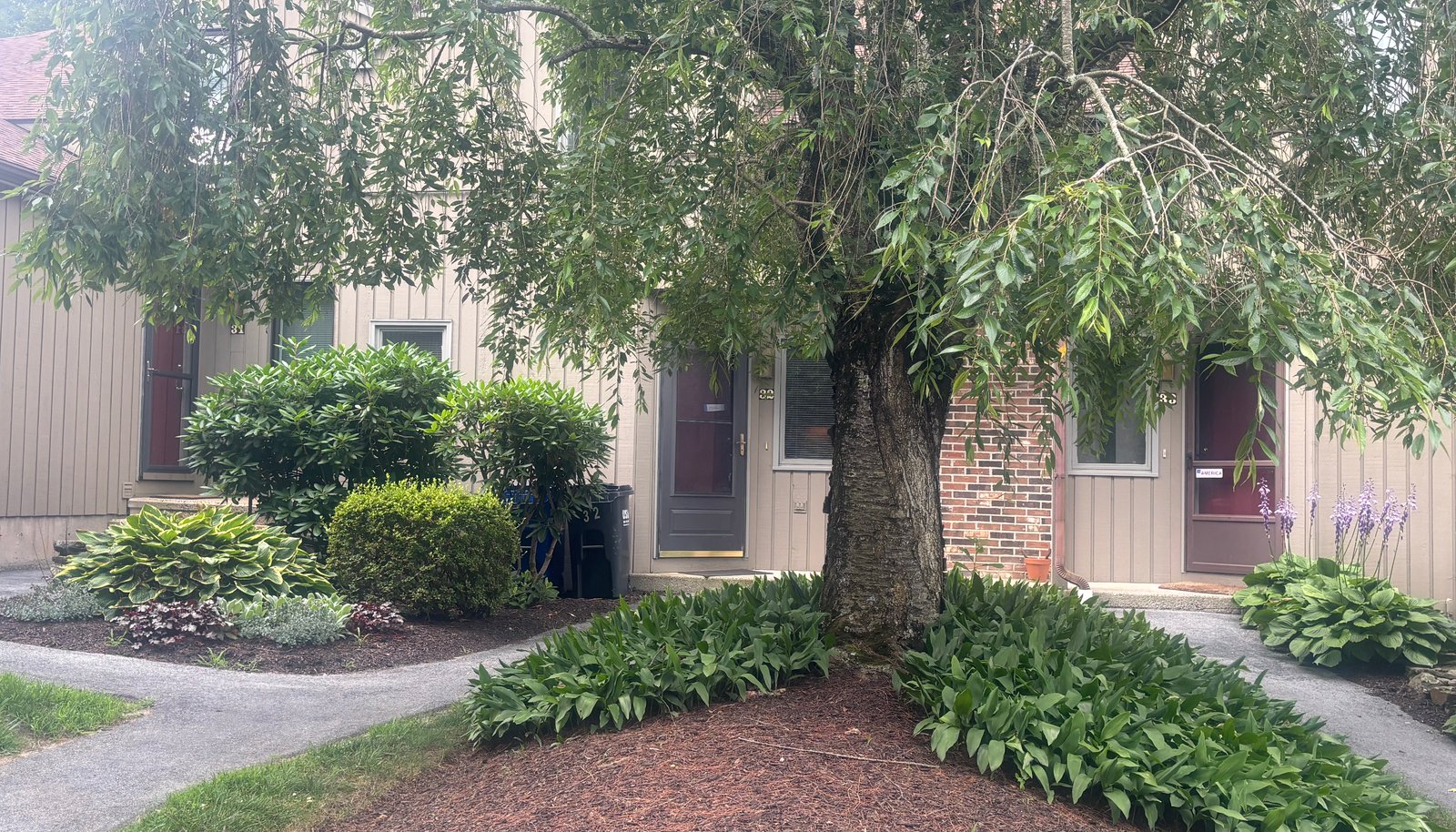 Image 18