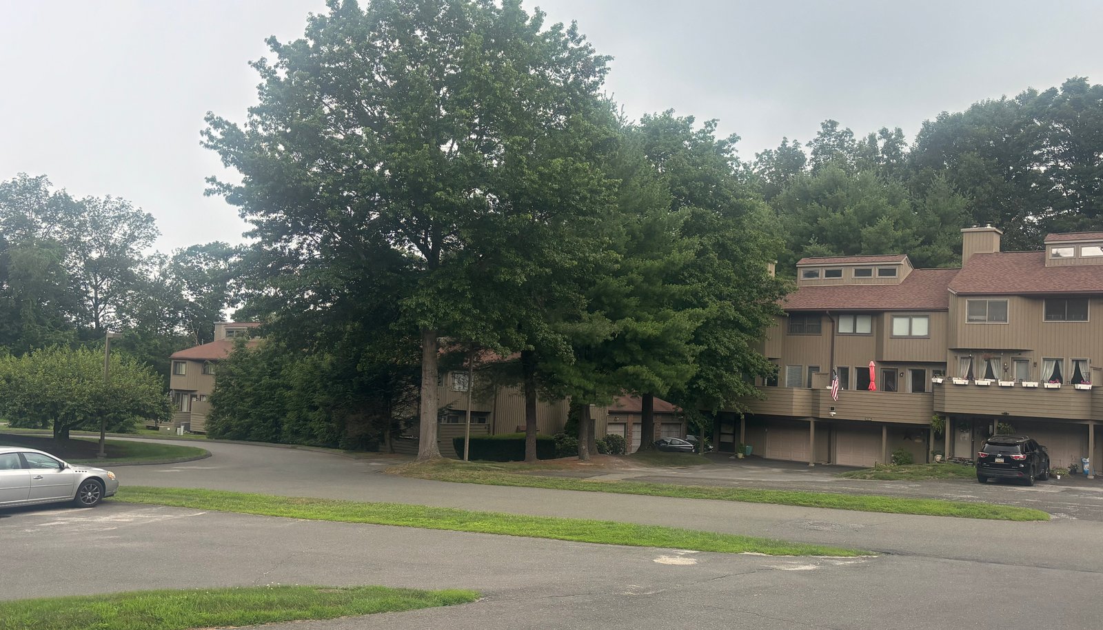 Image 15