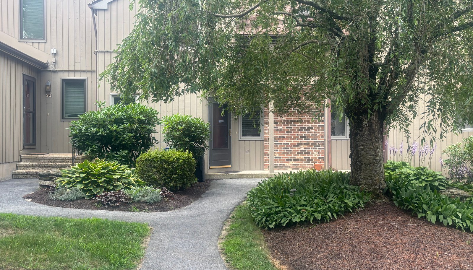 Image 16