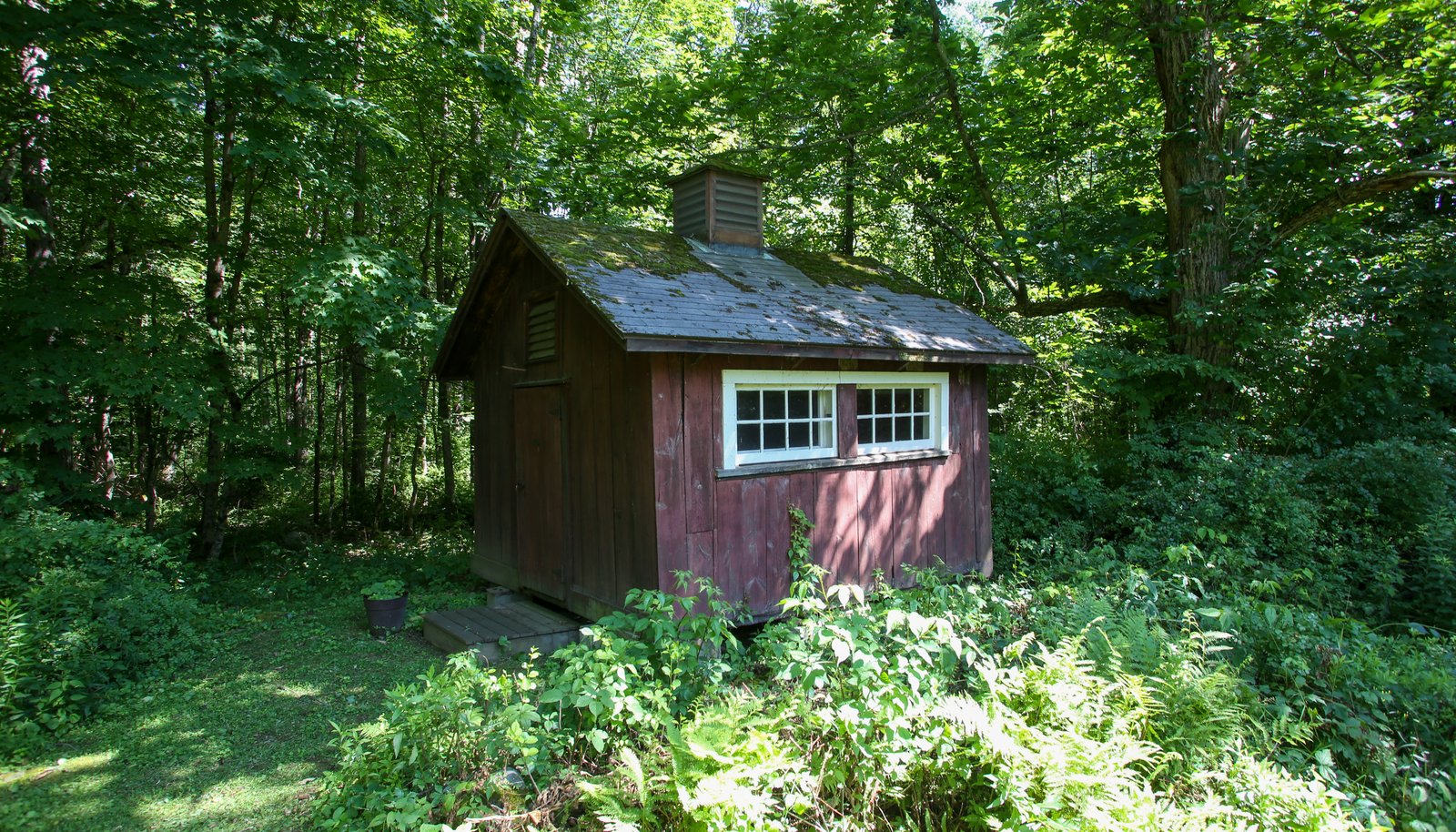 Image 29